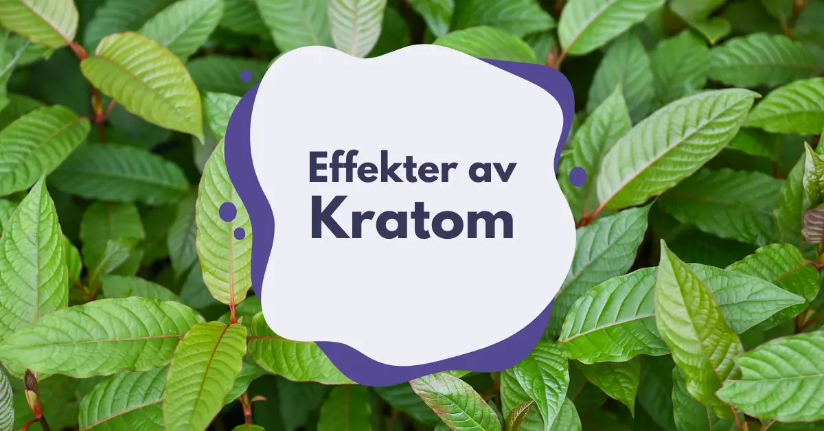 Kratom Effekt - Hälsosam Användning av Kratomtvål