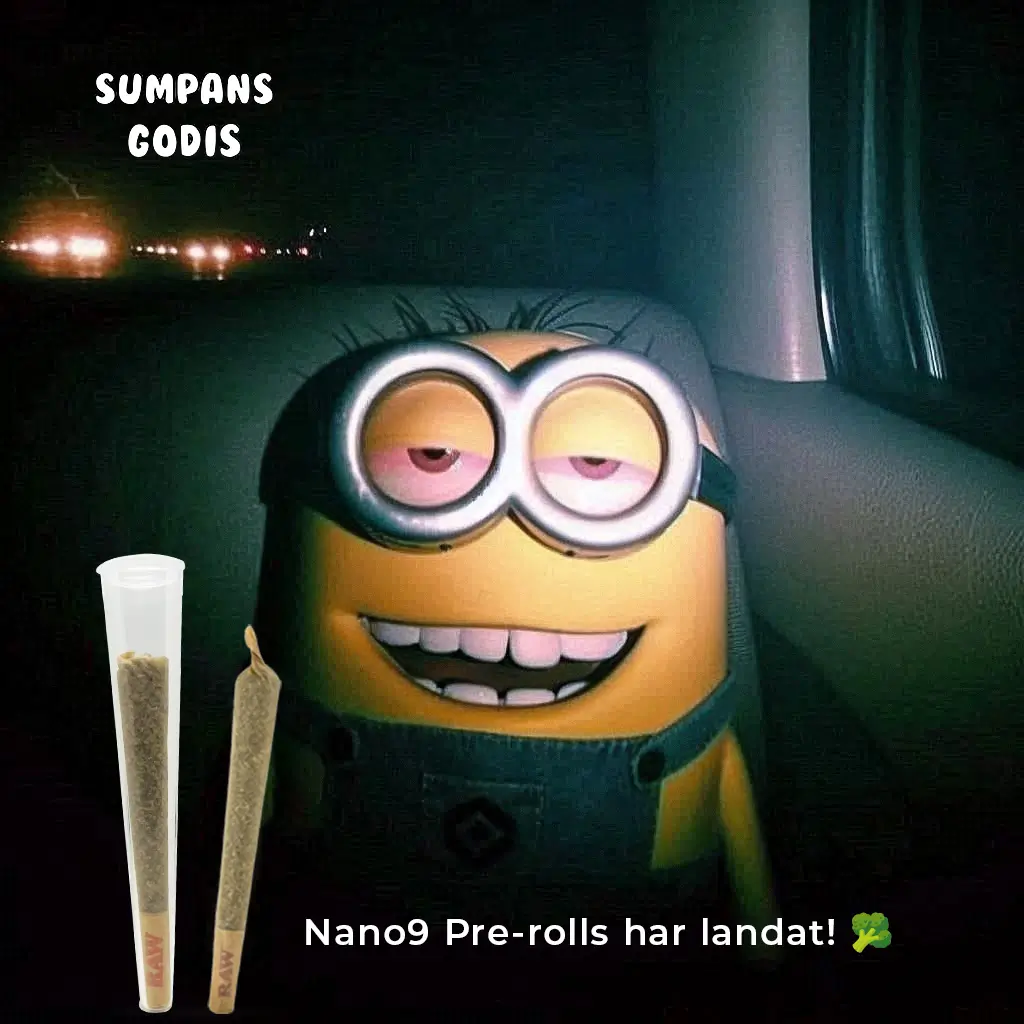 Vi firar den kalla säsongen med 20% rabatt på ALLT!